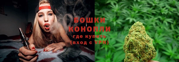 мдпв Киреевск