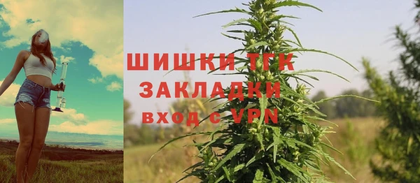 мдпв Киреевск