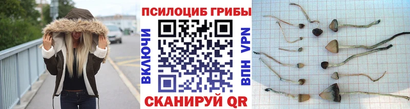 Галлюциногенные грибы ЛСД Купить Гуково